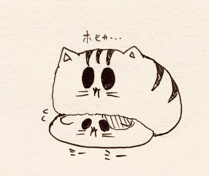 おはよ🐱🐯 