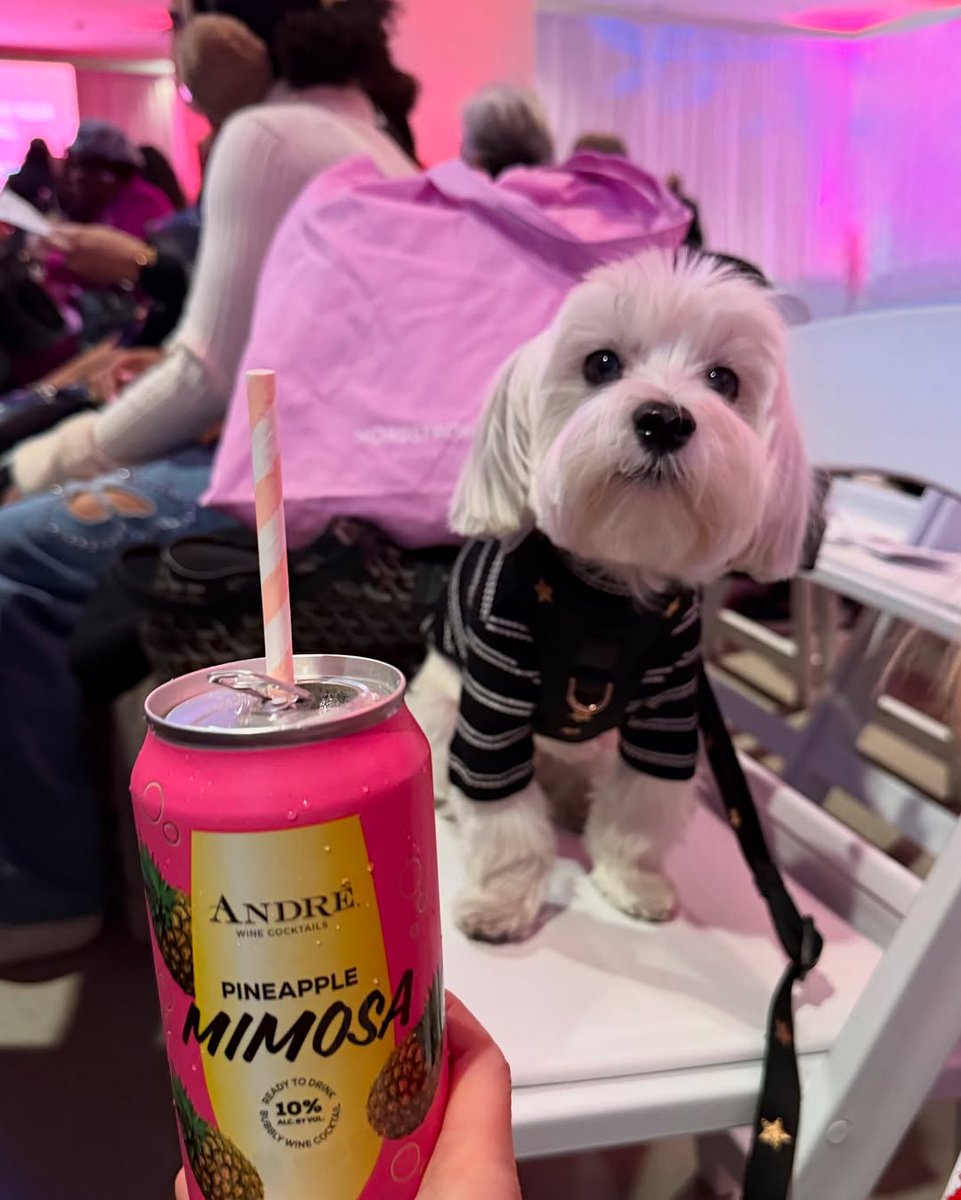 National Pet Day! Let's toast to the ones who make life a little sweeter🥂🐶

📸: @rockynycmorkie