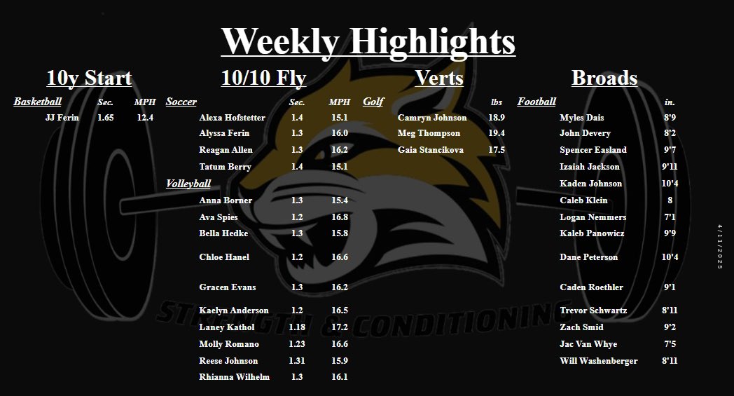 These PRs aren’t luck—they’re the product of relentless effort and focus.‼️🐾⛓️ #CatConstruction