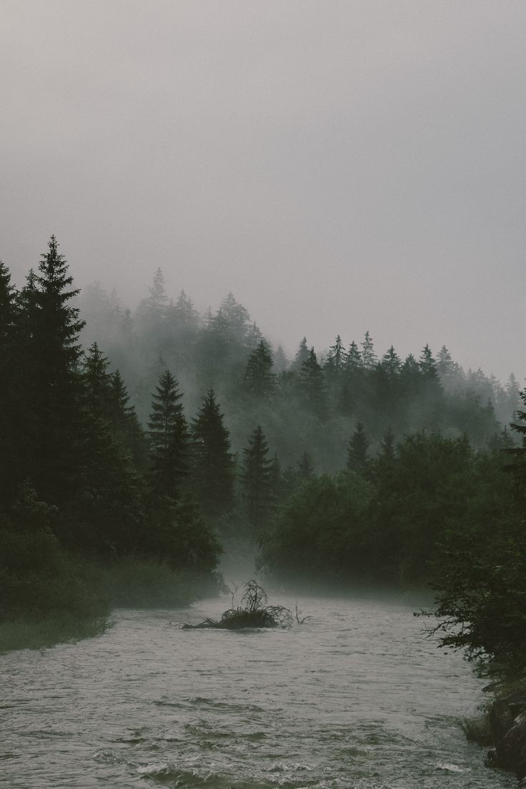 elemmiressoul's tweet photo. smoky mountains. https://t.co/fz1wjMLkUo