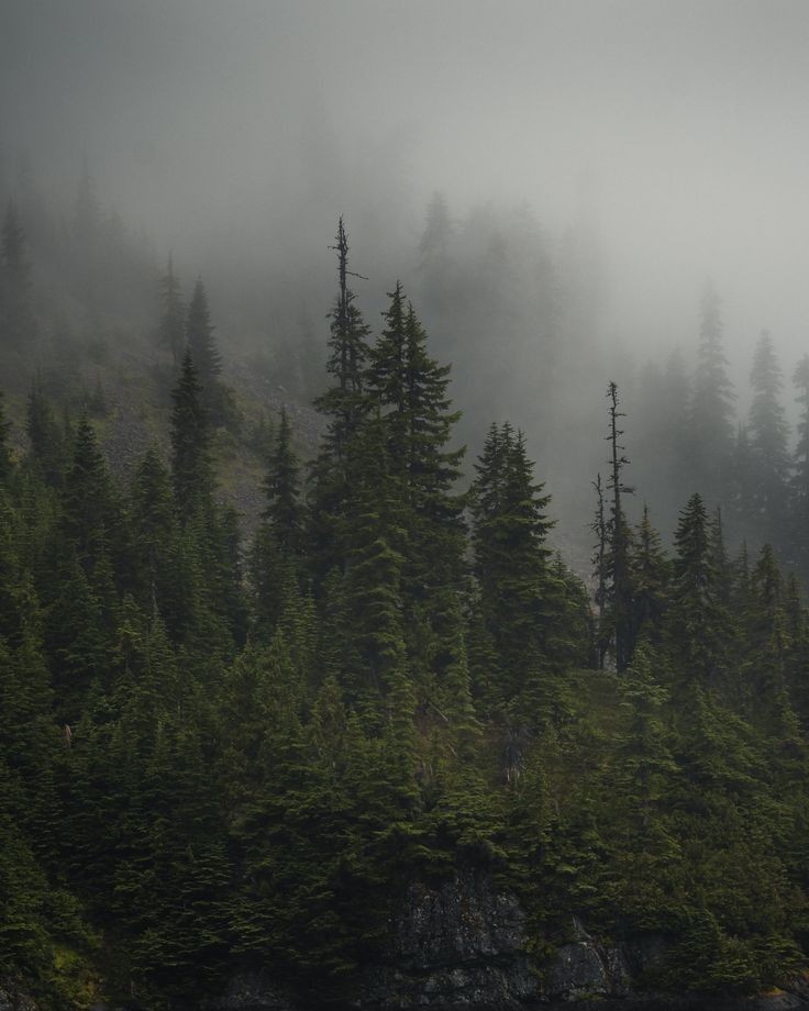elemmiressoul's tweet photo. smoky mountains. https://t.co/fz1wjMLkUo