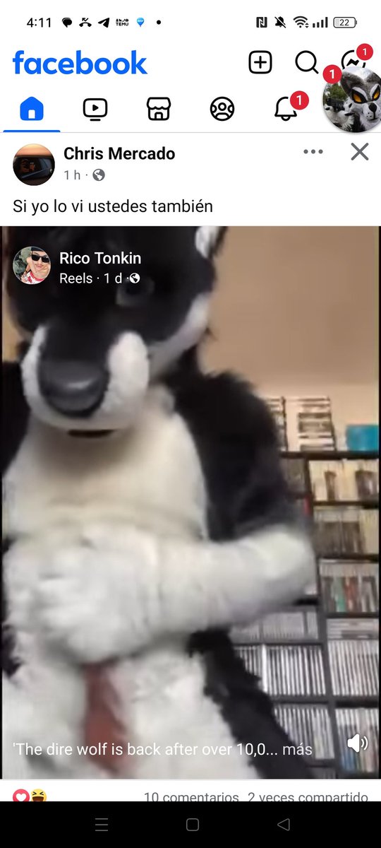 biksenslyFoxyiff 🔞 tweet media