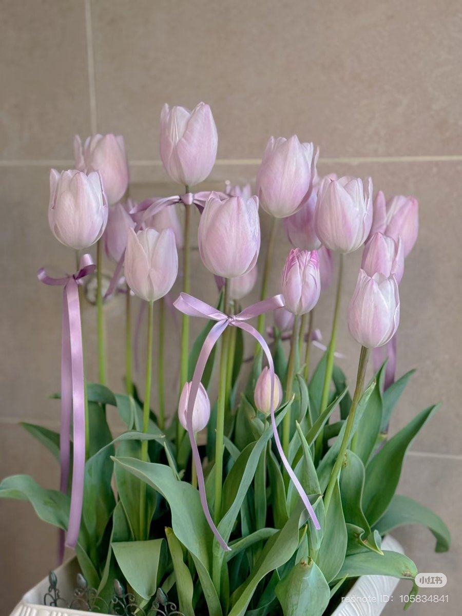 ‏ْ (@piinkifairy) on Twitter photo 