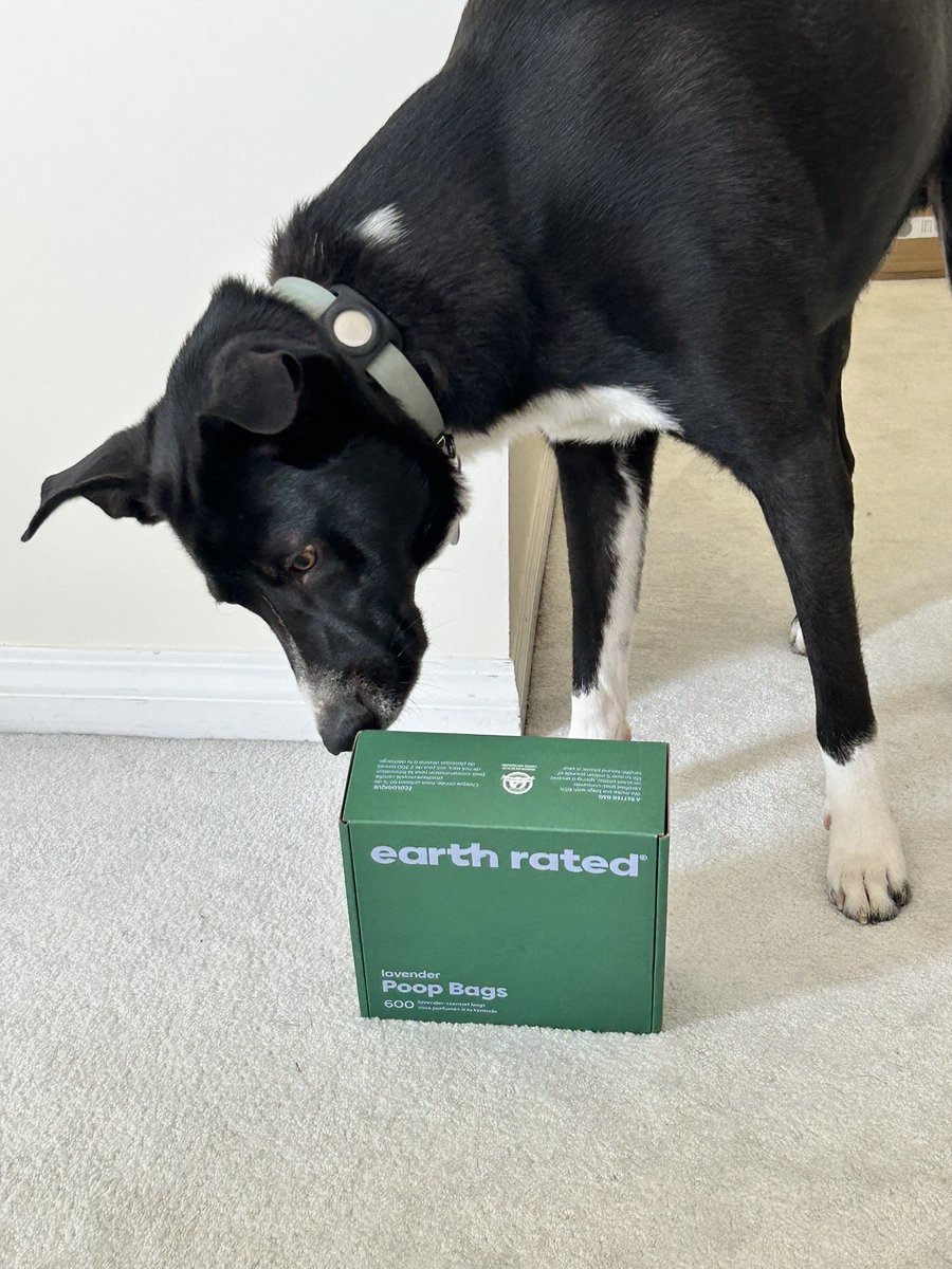 Happy National pet day 🐶