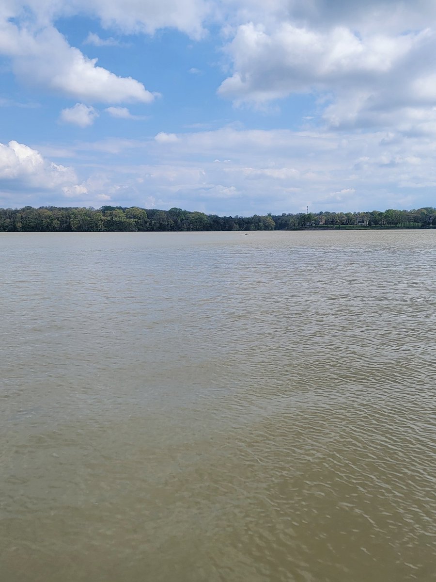 After the rules briefing the boys are ready to go for the state tournament tomorrow.  Wish them luck. #OldHickoryLake <a href="/NC5_LelanStatom/">Lelan Statom</a> <a href="/Bill_Dance1/">Bill Dance</a> <a href="/_FishHog_/">Fish Hog</a> <a href="/blantonfishing/">Blanton Fishing</a> <a href="/Line_Cutterz/">Line Cutterz,  LLC.</a> <a href="/LiquidMayhem_/">Liquid Mayhem</a> <a href="/ErikAinge3/">Erik Ainge</a> <a href="/bretmichaels/">Bret Michaels</a> <a href="/CalicoLures/">Calico Custom Lures</a> <a href="/WheelerFishing/">Jacob Wheeler</a> <a href="/TackleWarehouse/">Tackle Warehouse</a>