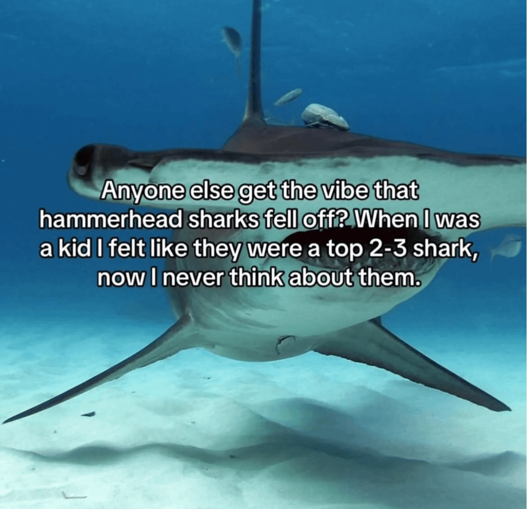 nocontextmemes's tweet photo. https://t.co/O5ZTHuTyR0