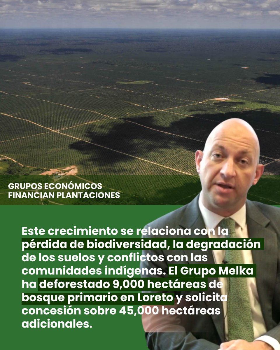 ProPurús tweet media