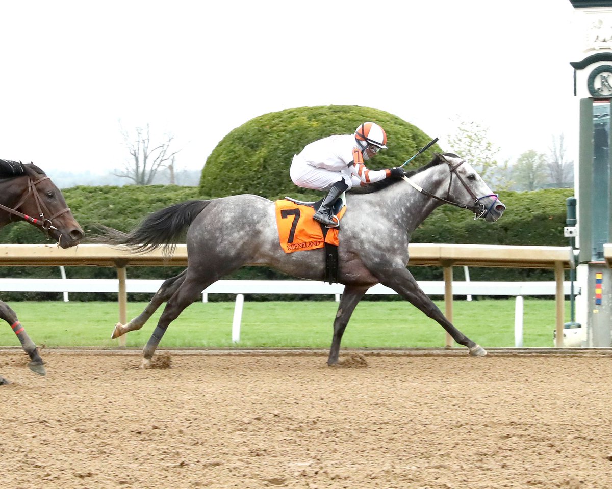 AnnaMeahRacing's tweet image. Congratulations to the connections of CERVARO DELLA SALA who won the 4th race today @keenelandracing under a beautiful ride by @luissaezpty Every win is fun, but winning at Keeneland is truly something special. Thank you to the entire AMR Team! #thepinkM 🏆🏇🏼🥇🥂📸@coadymediaUSA