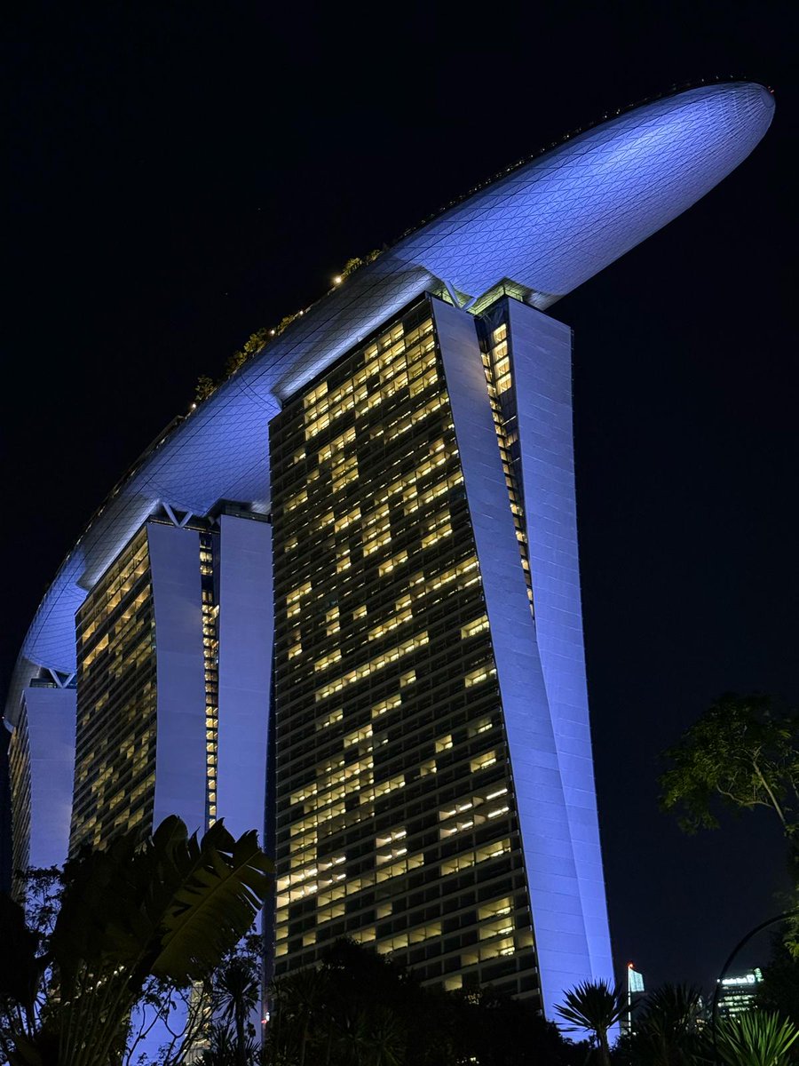 Tomo_scfc's tweet photo. Singapore....what an experience 👌 absolutely stunning place! https://t.co/fg8hm5iLTl