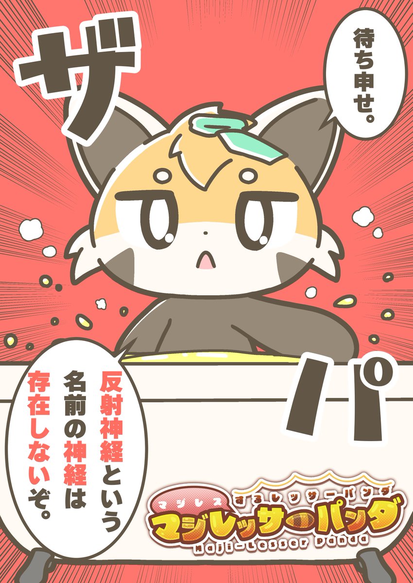 マジレスするレッサーパンダ、マジレッサーパンダ #マジレッサーパンダ 