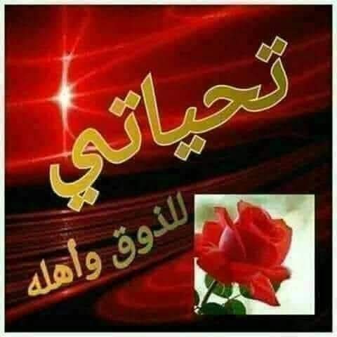 Maher Elfeky (@mahere075) on Twitter photo <a href="/So6bh/">كابتن sobhy</a> <a href="/so4bh/">sobhy</a> @514i1 <a href="/1qqmr/">𝓦𝓐𝓐𝓓</a> <a href="/5GG33/">🇮🇶🇮🇶 Haider Ali 🇮🇶🇮🇶</a> <a href="/55tt2c/">محمد احمد الشريف</a> <a href="/1alny/">✨Aliaa elhinawy✨</a> <a href="/1Aara_/">○° آراءخان°○</a> <a href="/WX2fu/">مهندس ايمن عماره</a> <a href="/1Reett/">𝒜ℬ𝒟𝒪</a> <a href="/sh_s02/">🆇−ͣʊ̤ȷg᎗ɹɹ̈̇ɹ᎗ɺl𓀛 𖠈</a> <a href="/Sa__dl/">♩คʰΜ𝕒𝓭 🇯🇴</a> <a href="/nor3rh/">💎Nor elrhman💎</a> <a href="/SEltaer/">Sayed zenhom altayar</a> <a href="/Sana_IIK/">KhanZaadi 🦋</a> <a href="/WehbeYm2/">YmWehbe حساب بديل</a> <a href="/Farhan1962f/">فرحان</a> <a href="/H__aa__l__aa/">حلا</a> <a href="/ubtzm/">Muhammad Umair Sheikh</a> <a href="/mrm2181/">مرام</a> <a href="/umomar246/">🔻🇴🇲🇵🇸 ام عمر 🔻</a> <a href="/N22_A3/">🇲🇾د.أحمد البابلي🇮🇶🛰️</a> <a href="/mfq19591/">الصقر ألجارح{🟥}🟥🟥{ #رجاء_الخاص_ممنوع_مهمل🗑️}</a> <a href="/1A2a123/">محسن</a> <a href="/G_0GU/">بشار الشجاع 🔥 🔥</a> <a href="/AlmhaRym/">💫الملكة_ريم💫</a> الكابتن المتألق والمبدع دائماً فى عالم الدعم العالمى النجم الساطع فى تويتر تحياتي لحضرتك وشخصك الراقي والمميز جدا يا كابتن صبحي <a href="/So6bh/">كابتن sobhy</a> <a href="/so4bh/">sobhy</a> @514i1 <a href="/1qqmr/">𝓦𝓐𝓐𝓓</a> <a href="/5GG33/">🇮🇶🇮🇶 Haider Ali 🇮🇶🇮🇶</a> <a href="/55tt2c/">محمد احمد الشريف</a> <a href="/1alny/">✨Aliaa elhinawy✨</a> <a href="/1Aara_/">○° آراءخان°○</a> <a href="/WX2fu/">مهندس ايمن عماره</a> <a href="/1Reett/">𝒜ℬ𝒟𝒪</a> <a href="/sh_s02/">🆇−ͣʊ̤ȷg᎗ɹɹ̈̇ɹ᎗ɺl𓀛 𖠈</a> <a href="/Sa__dl/">♩คʰΜ𝕒𝓭 🇯🇴</a> <a href="/nor3rh/">💎Nor elrhman💎</a> <a href="/SEltaer/">Sayed zenhom altayar</a> <a href="/Sana_IIK/">KhanZaadi 🦋</a> <a href="/WehbeYm2/">YmWehbe حساب بديل</a> <a href="/Farhan1962f/">فرحان</a> <a href="/H__aa__l__aa/">حلا</a> <a href="/ubtzm/">Muhammad Umair Sheikh</a> <a href="/mrm2181/">مرام</a> <a href="/umomar246/">🔻🇴🇲🇵🇸 ام عمر 🔻</a> <a href="/N22_A3/">🇲🇾د.أحمد البابلي🇮🇶🛰️</a> <a href="/mfq19591/">الصقر ألجارح{🟥}🟥🟥{ #رجاء_الخاص_ممنوع_مهمل🗑️}</a> <a href="/1A2a123/">محسن</a> <a href="/G_0GU/">بشار الشجاع 🔥 🔥</a> <a href="/AlmhaRym/">💫الملكة_ريم💫</a> الكابتن المتألق والمبدع دائماً فى عالم الدعم العالمى النجم الساطع فى تويتر تحياتي لحضرتك وشخصك الراقي والمميز جدا يا كابتن صبحي