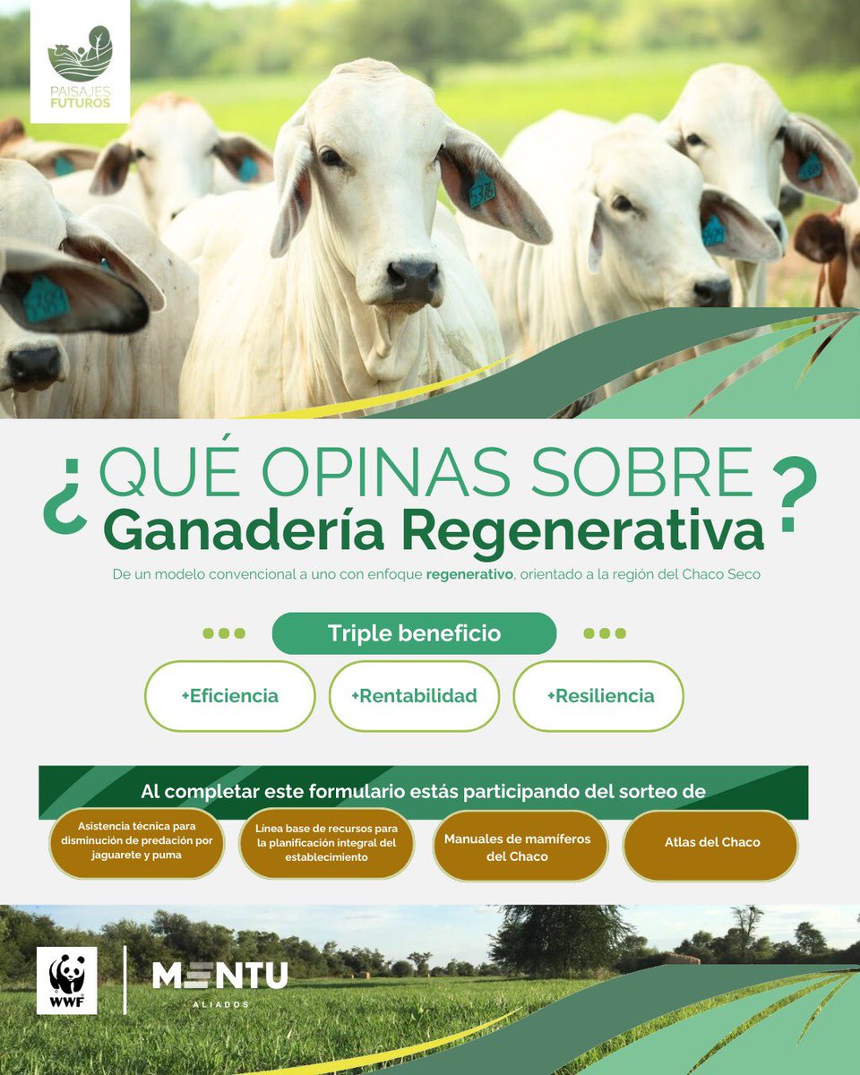 MarceInsa's tweet photo. Desde Mentu queremos invitarte a responder este breve formulario en el marco del Programa Paisajes Futuros, que busca promover una ganadería más regenerativa y eficiente en el Chaco Seco.

🌿 No te llevará más de 5 minutos.
👉 Completala acá: https://t.co/TTL5eTo7Cv https://t.co/l03R3Vo6Pv