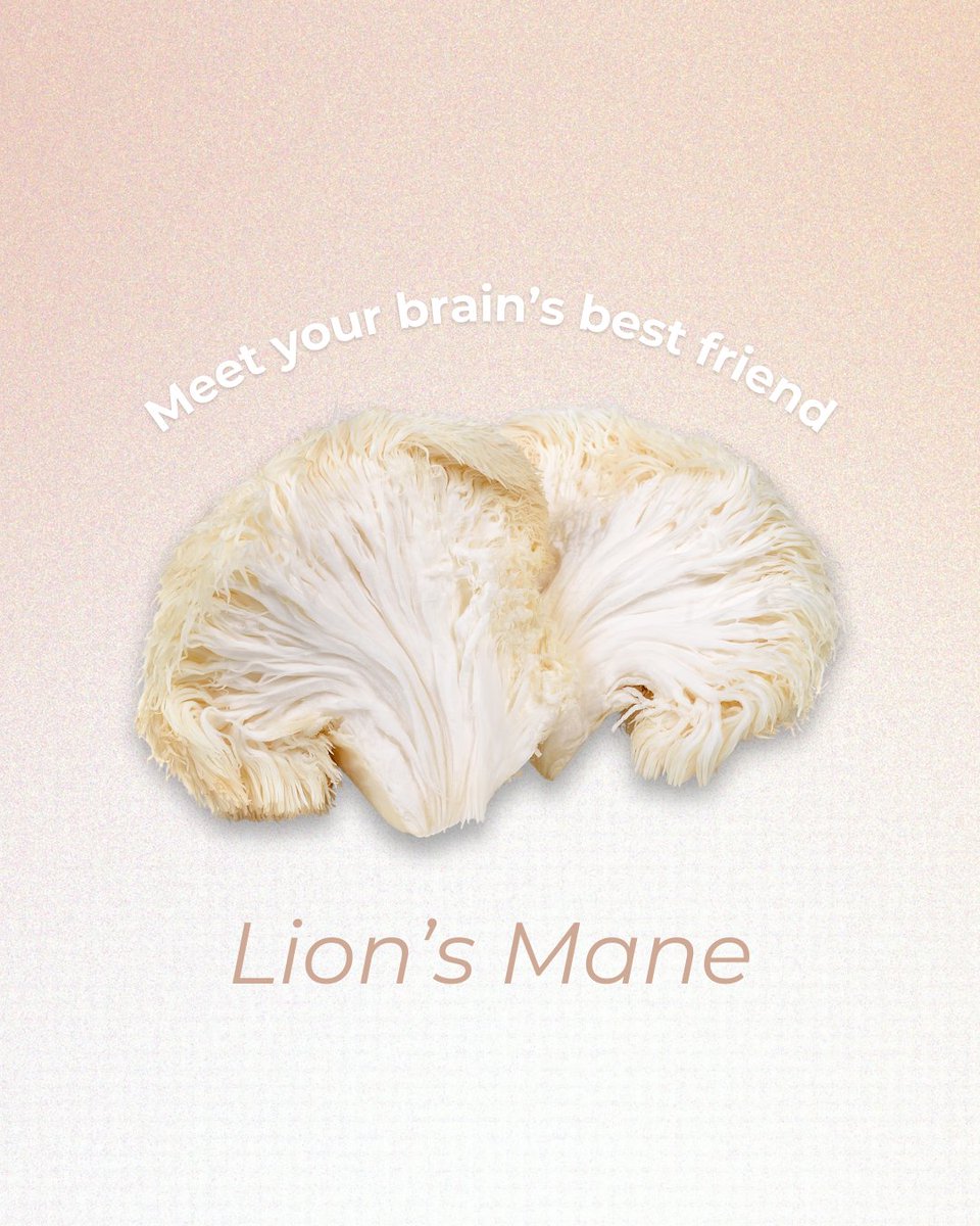 tryvybe's tweet photo. Meet your brain’s best friend: Lion’s Mane 🧠✨ 

This powerhouse mushroom supports cognitive function, sharpens focus, and helps with memory—naturally. 

Who doesn’t want a mental edge?

#Vybe #LionsMane #BrainBoost #CognitiveSupport #MentalClarity #Nootropics #FocusMode https://t.co/xTHsoNBiK0