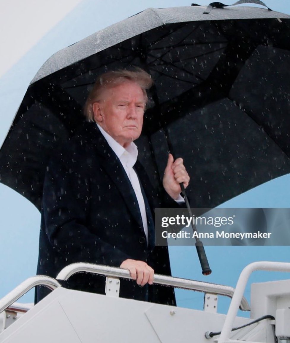 Benny Johnson tweet media