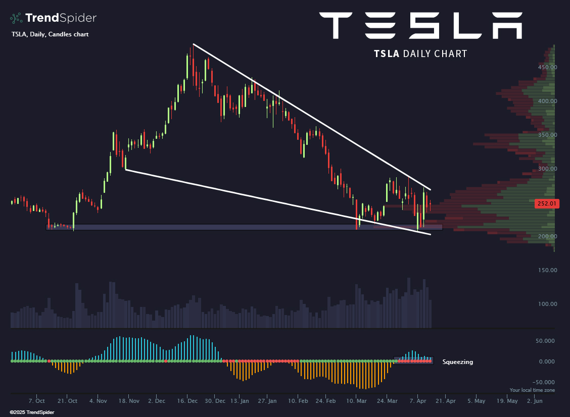 Supreme wedgie $TSLA 🩲