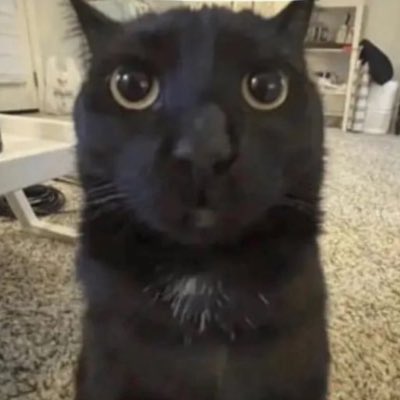 MagryFriends's tweet photo. 🚨| THE END IS NIGH |🚨

Imaginary Friend “iVempt” has reportedly messed up the cobblestone generator‼️

Is there any hope of beating skyblock now? https://t.co/IWpV3sam8a