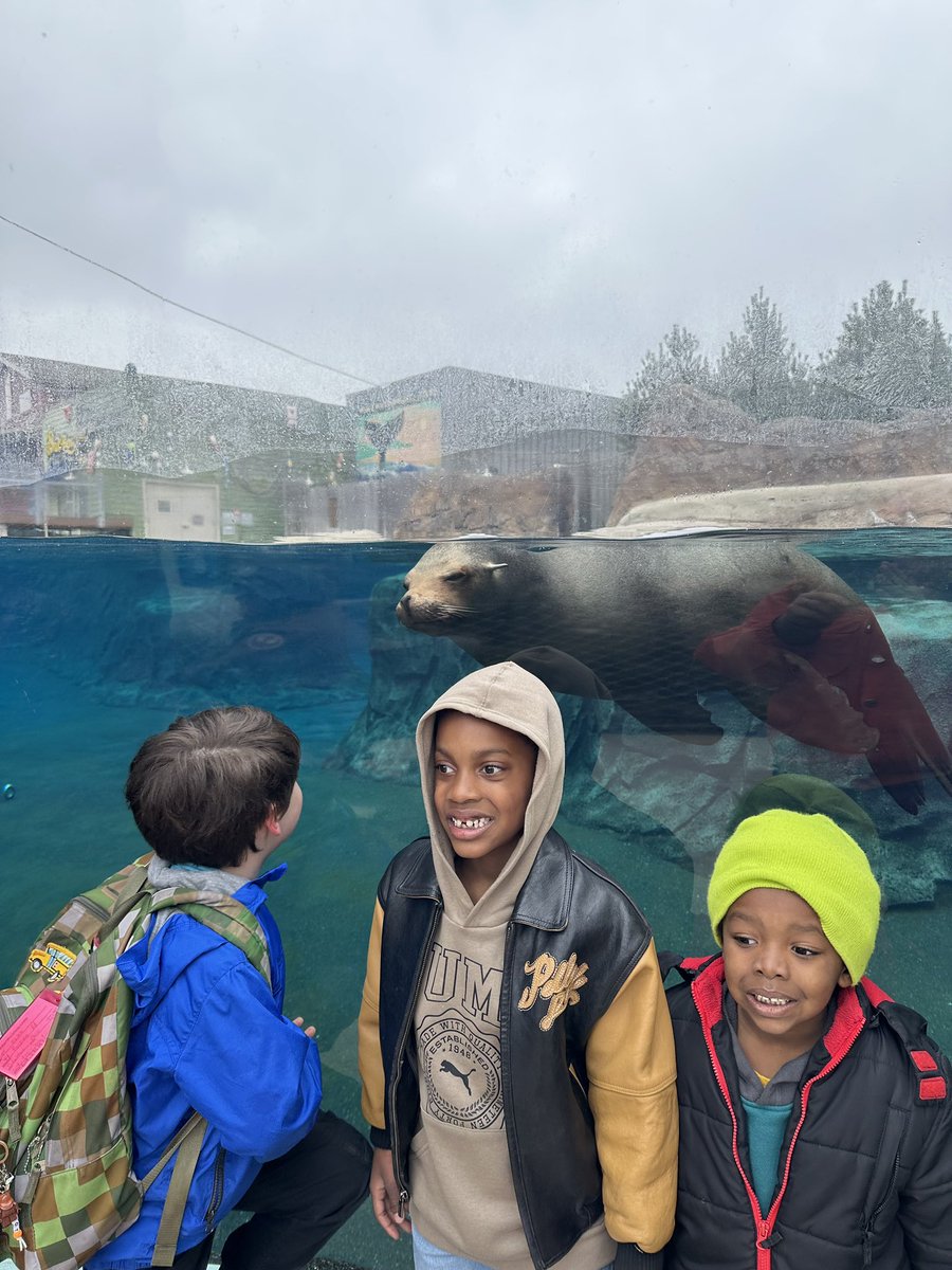 These kinder stars had a blast at the Columbus Zoo today!⭐️🐘🐒 #kinderstars #slatehill #itsworthit