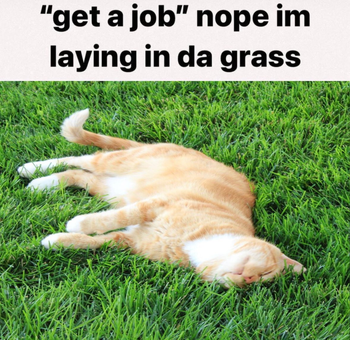 michael (@filledwithurine) on Twitter photo 