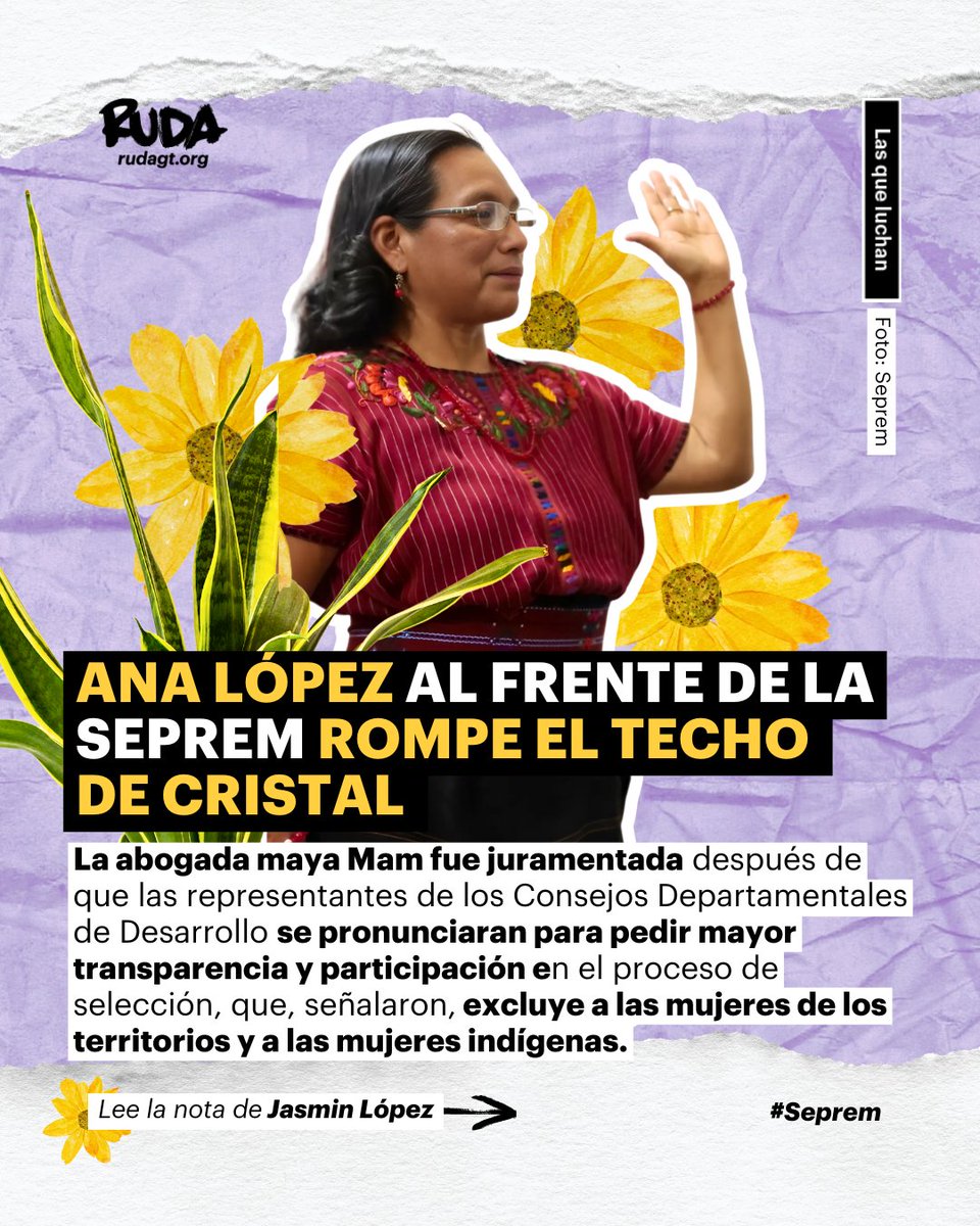 ruda_gt's tweet photo. 🎉 El nombramiento de Ana López como secretaria de la #Seprem se hizo tras los esfuerzos continuos de organizaciones de mujeres, quienes pidieron que se tome en cuenta la trayectoria y experiencia de las candidatas indígenas y de los territorios.
#LasQueLuchan ✊🏾
Lee la nota de Jasmin López: https://t.co/0GRpru3HIf