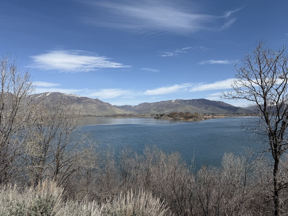 Mad Mori tweet media