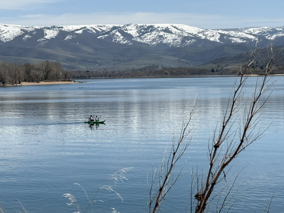 Mad Mori tweet media