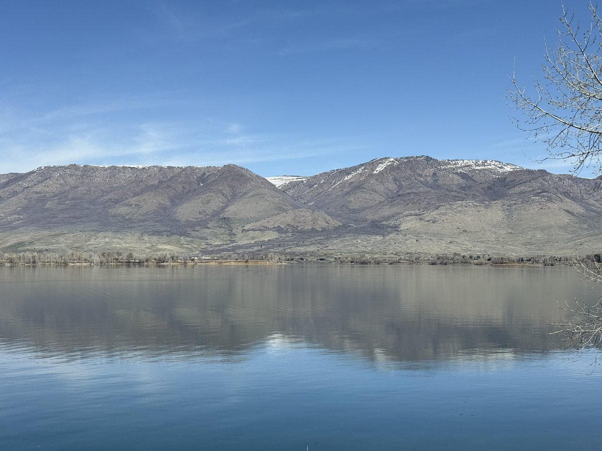 Mad Mori tweet media