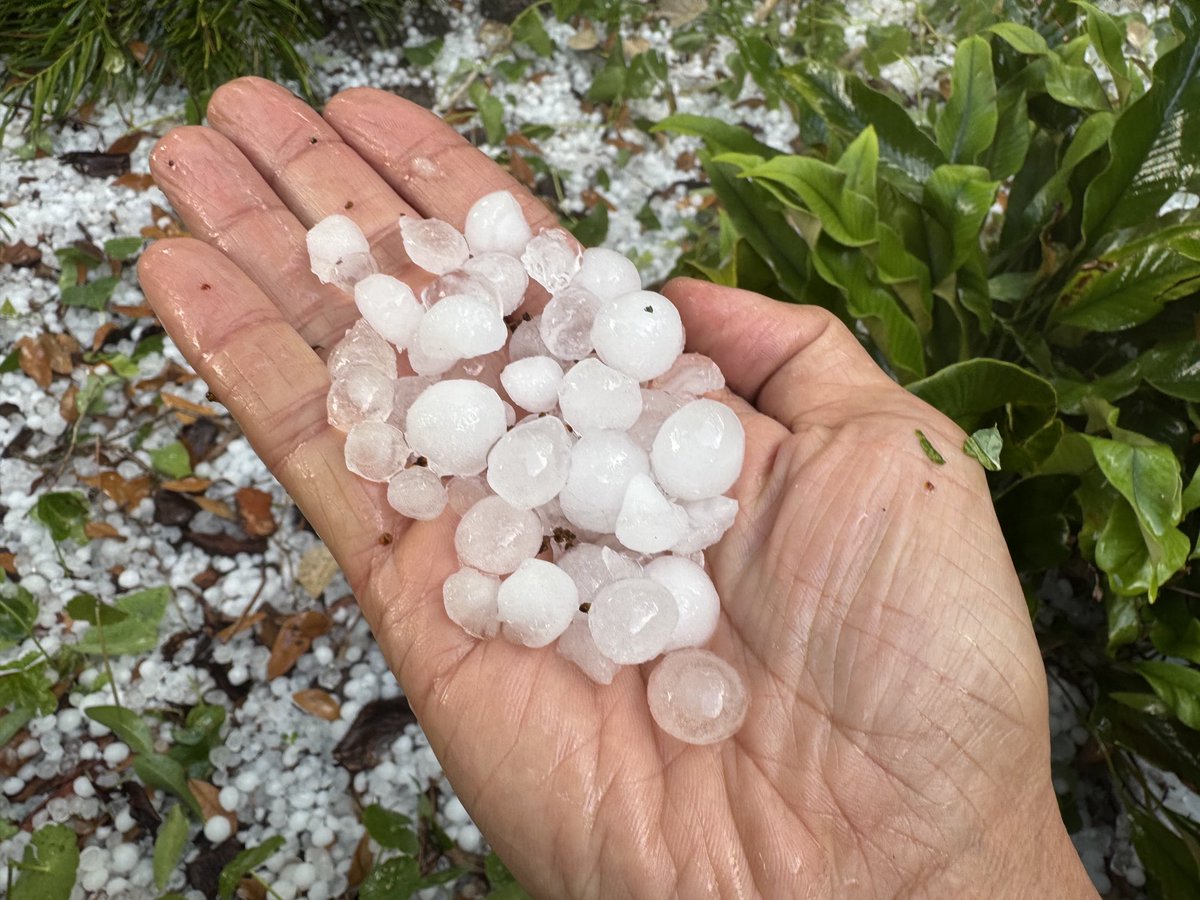 Dr_Akito's tweet image. Larger than marble-sized hail in Gainesville Florida just now