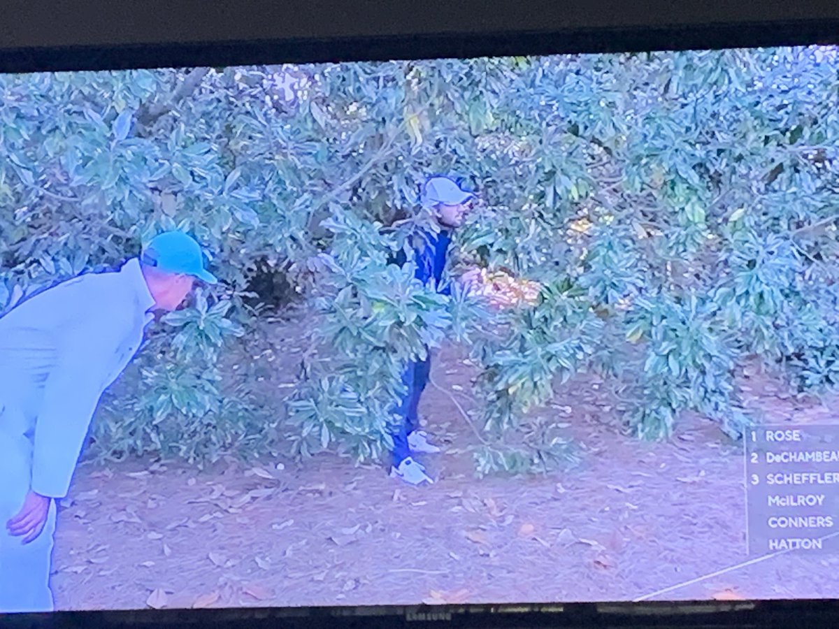 Is it a Titleist?