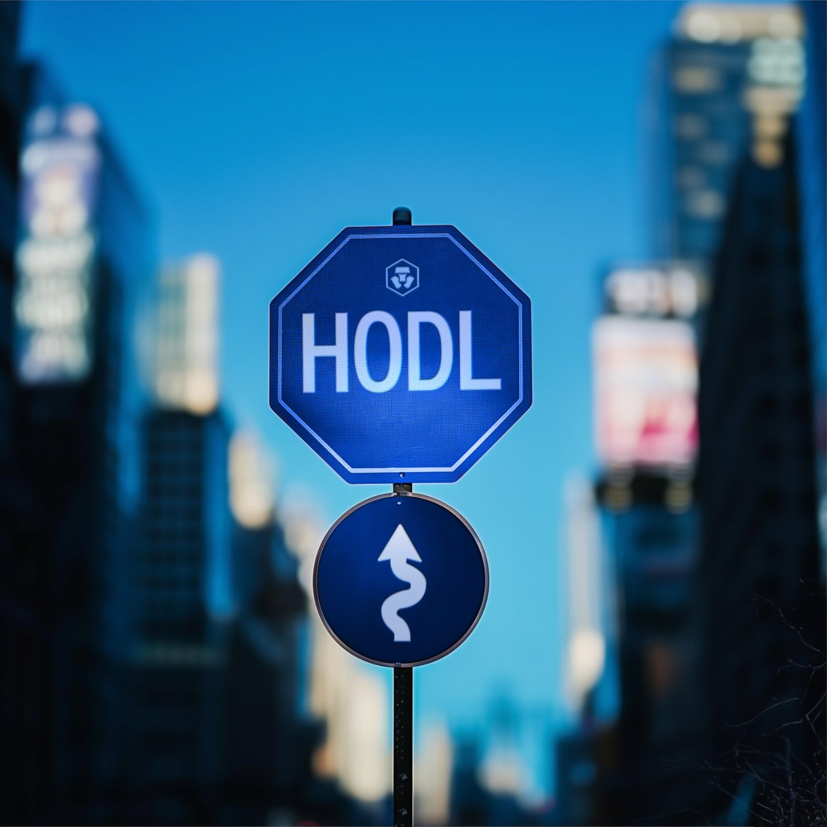Who's taking the HODL route?
