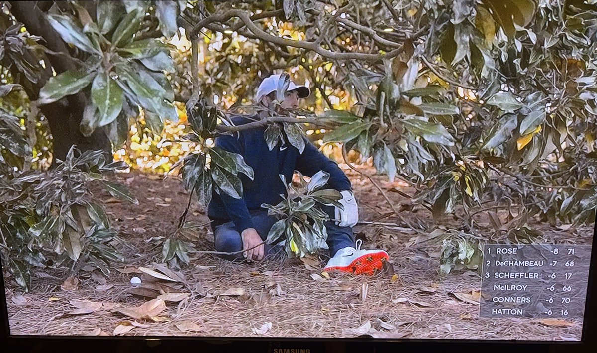 When you get way too high smoking pot for the first time in the woods in 10th grade and you need a second