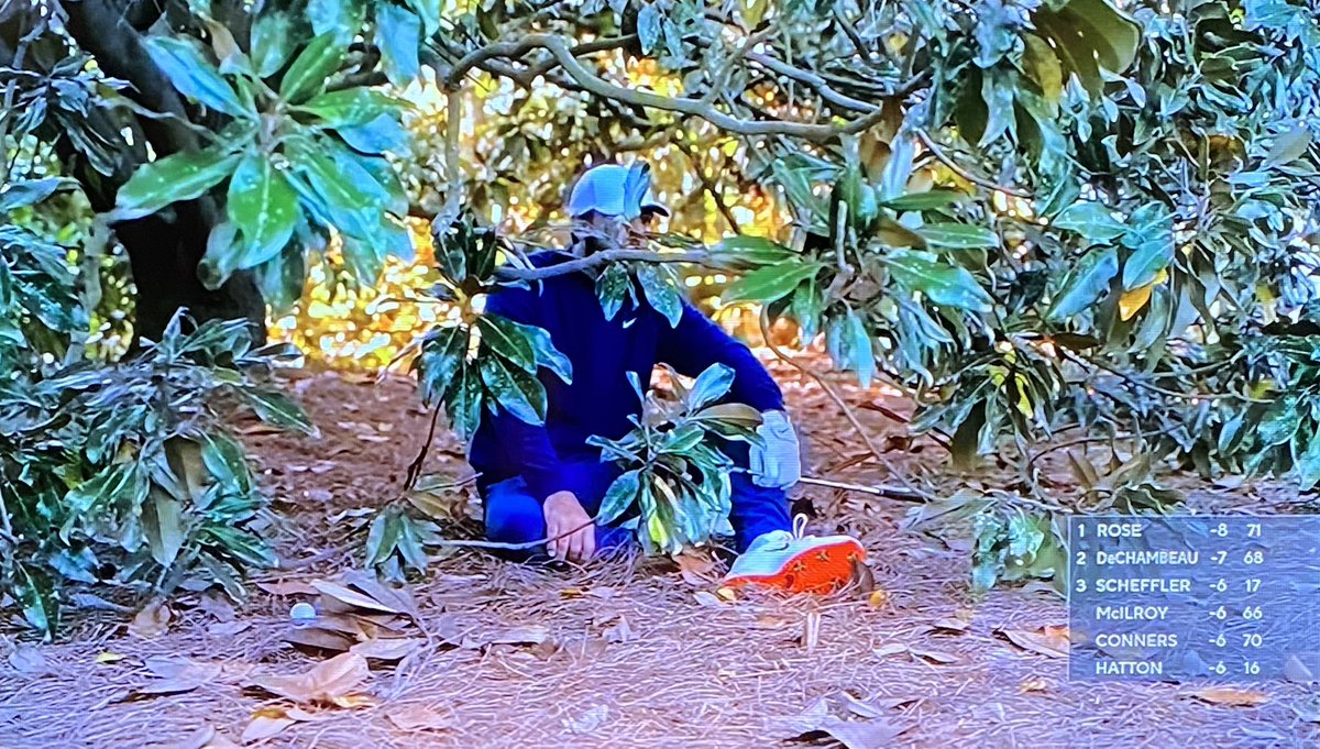 JarvisSimes's tweet photo. My golf game in a nutshell https://t.co/1iXFwk6WM2