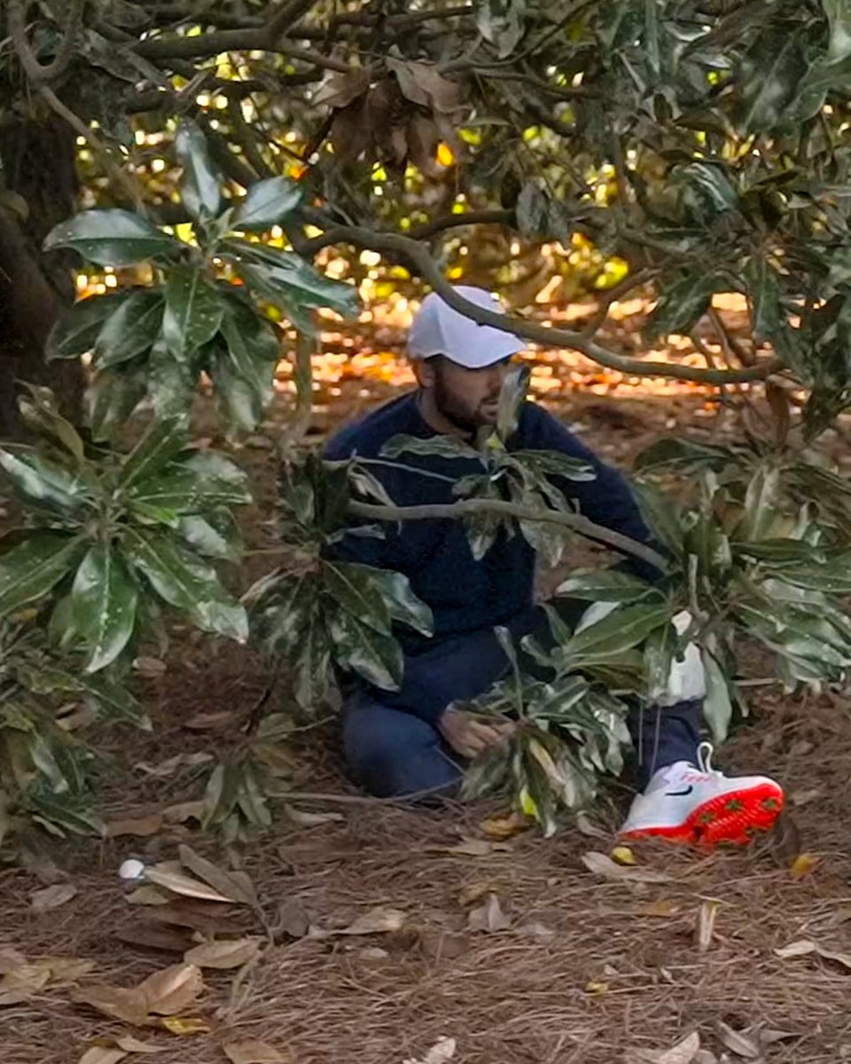 Checking in on the No. 1 player in the world...