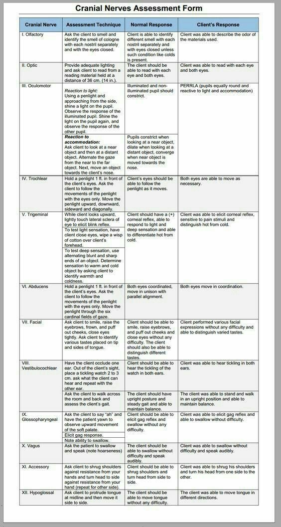 OGdukeneurosurg's tweet photo. Cranial nerve assessment https://t.co/g6RVNZ2uMs