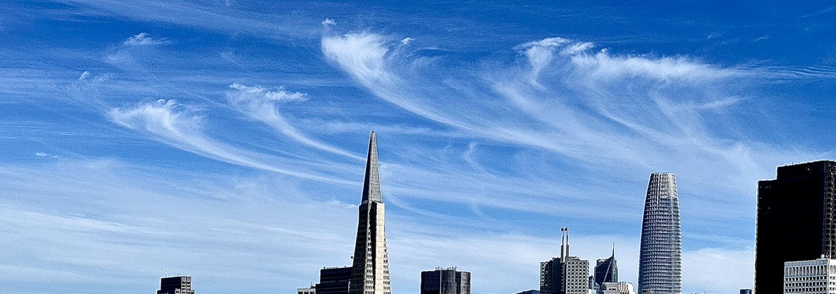 Darren Peck tweet media