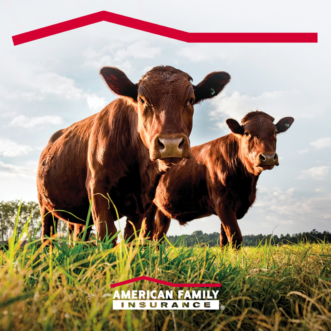 Justin_Thompson's tweet photo. Have a passion for farming the land you live on? Help protect your lifestyle and investment with coverage that’s customized to your needs. Contact us to get a quote started today, (308) 534-2400 or justinthompsonagency@amfam.com. 🥕 👩‍🌾 🍅 https://t.co/WKJI6g7pw4