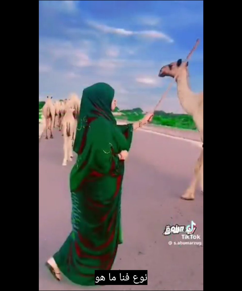 #الهاجوس 
لعنبوها امدحها بالشعر والقصيد 

وهي تمدح  بعارين  أبوها 

ماتعرف لشعر ولاتعرف الجديد 

وأنا خبل مطوفوق كيف حبيتها 

قالت ابعد وراك بكرى عندنا عيد 

قلت محشومه يابنت الاجاويد 

قصدي شريف وعطتني تلفونها 

دقيت على رقمها مافيه رصيد

ضاعت عن عيني وضاعت عناوينها