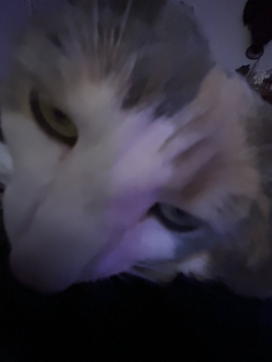 sleevicus's tweet image. she looks just like us