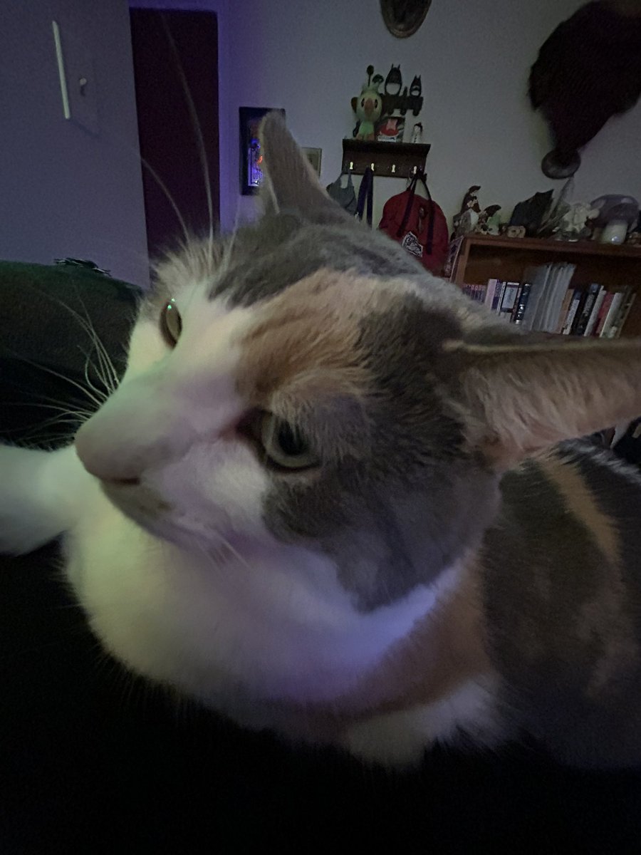 sleevicus's tweet image. she looks just like us