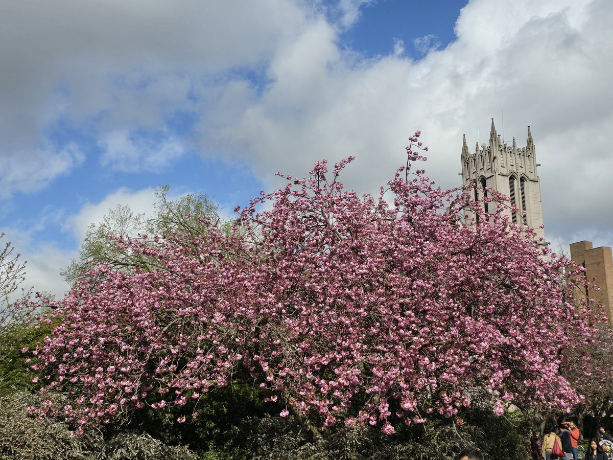 Maksym Kovalenko tweet media