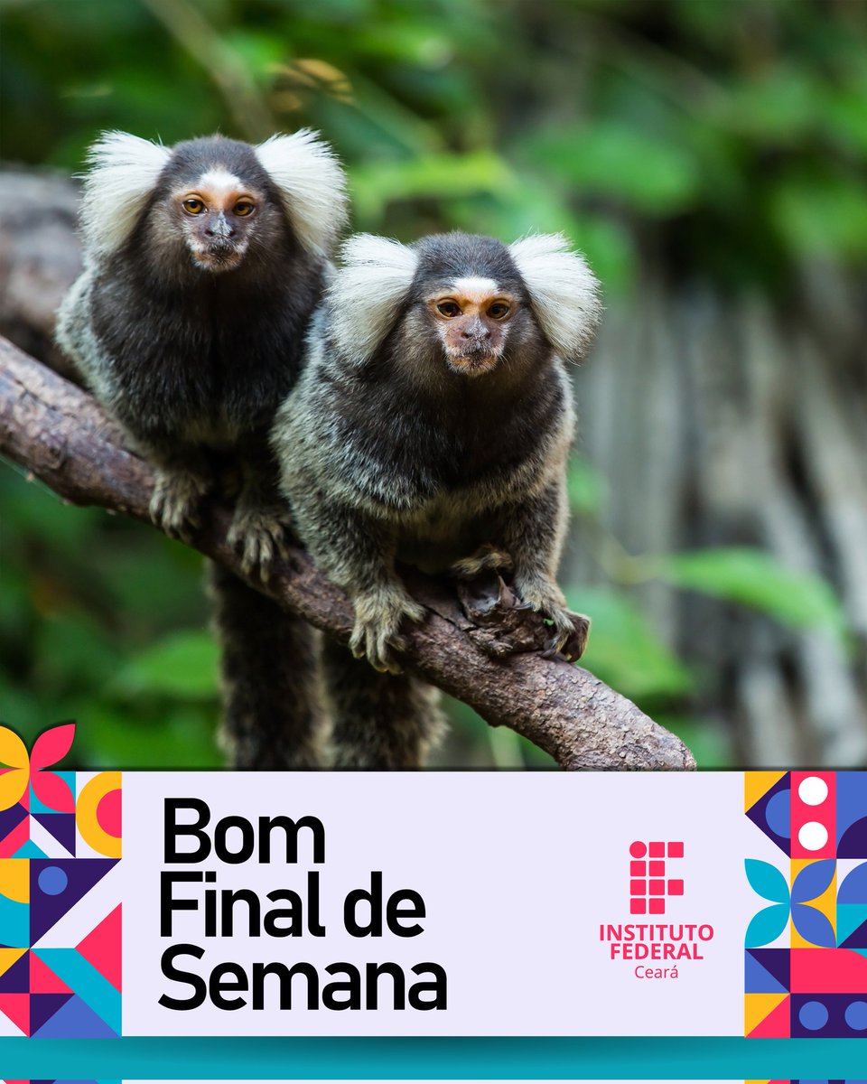 ifceoficial's tweet photo. Para todos vocês, um #bomfds ❤️ https://t.co/8r9YwRATm6