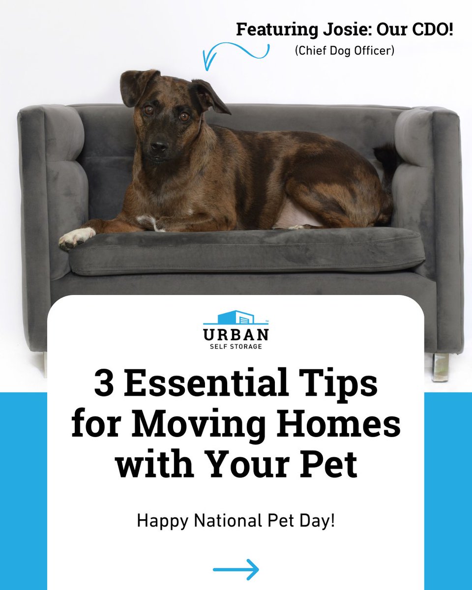 urbanstorage's tweet photo. Moving with a pet? 🐾 Make it stress-free for both of you! 📦🐶🏡 

Swipe for simple tips to keep your furry friend comfortable during the move 🩵🐱

#UrbanStorage #SelfStorage #StorageSolutions #StorageNearMe #NationalPetDay https://t.co/83cKWMNnbN
