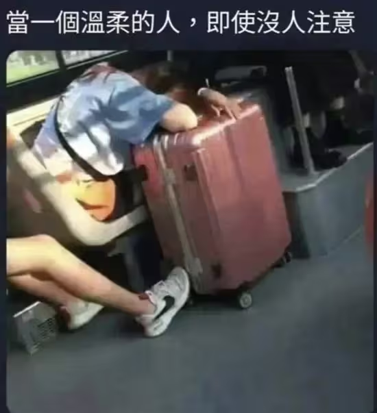 雲鳩 (@cldeop) on Twitter photo 