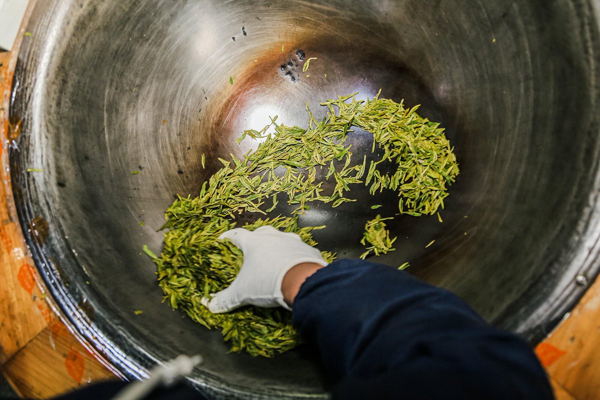 The refreshing green tea gives forth an odour of spring.
#newtea #springtea #newharvest #teaseason #greentea #dragonwell #longjinggreentea #westlake #handmadetea #friedtea #teamaster #tea #greentealover #refreshingtea #freshtea