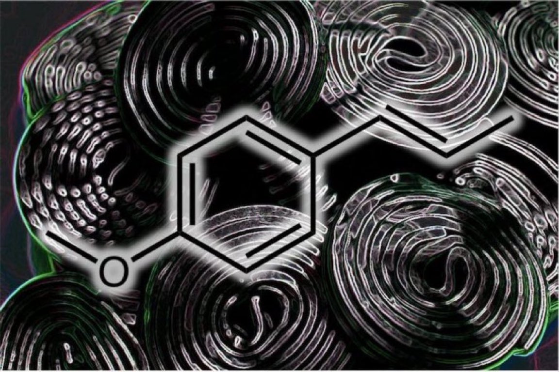 eedcAndy's tweet photo. Get to the root of the matter #NationalLicoriceDay! Liquorice is seen in its sticky black sweet form (root extract is boiled with sugar/flour/gelatine) inc Pontefract cakes #Yorkshire. Research shows the root has 39 compds, including anethole, giving rise to its aroma #intheblack https://t.co/0NUEqp5mrH