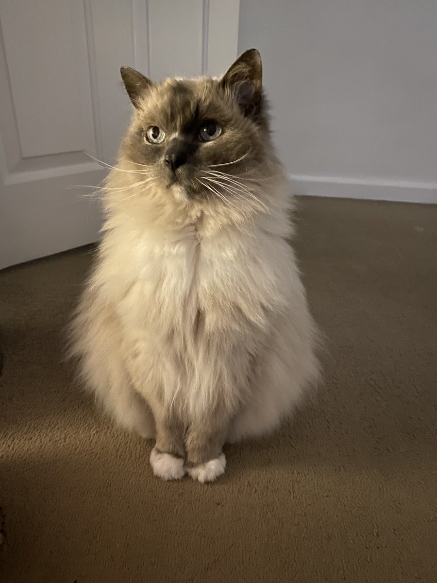 Kate Gordon 🎃🖤 tweet media