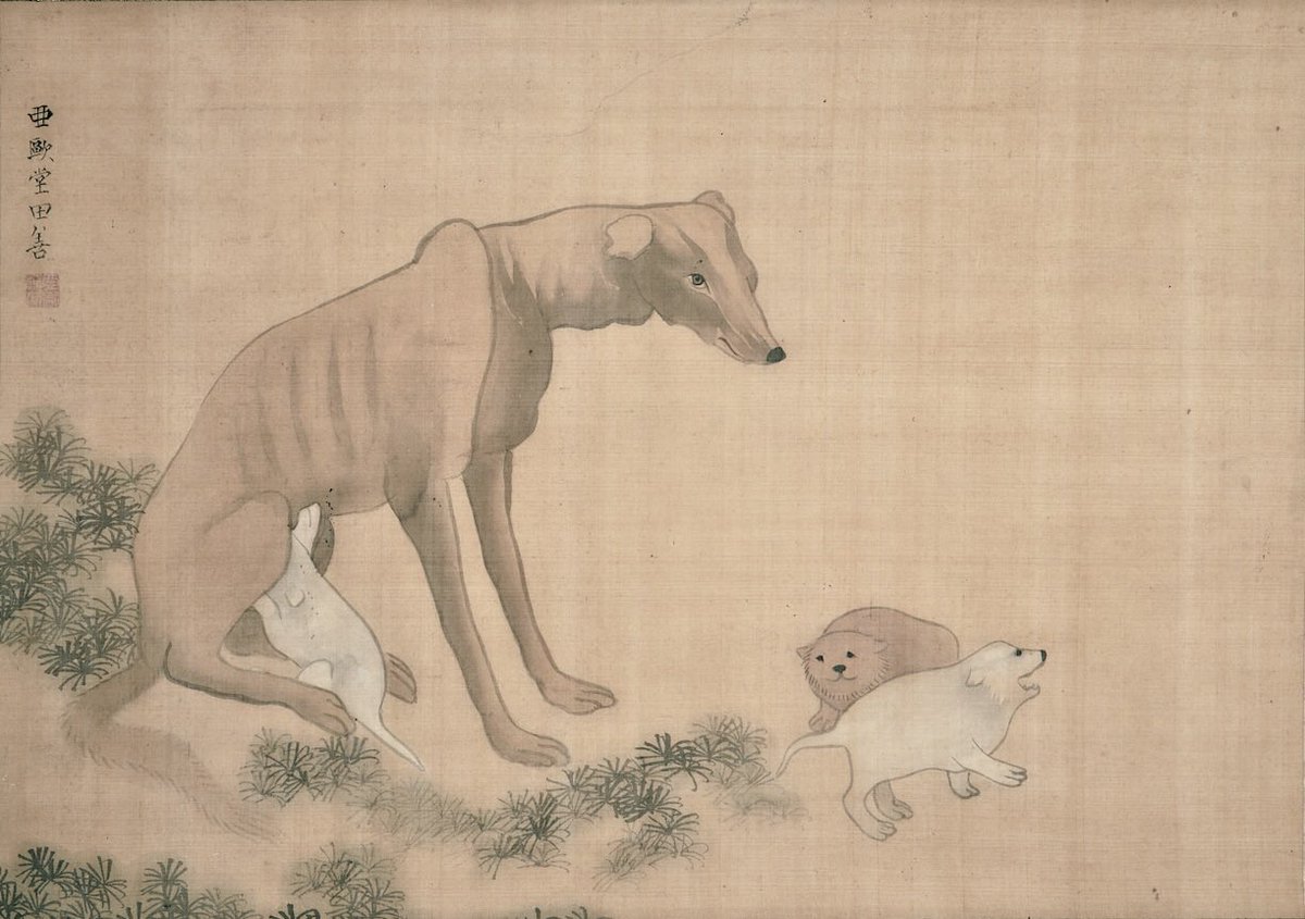 洋風画家たちも、犬の絵を描きました。これは、亜欧堂田善の「洋犬母子