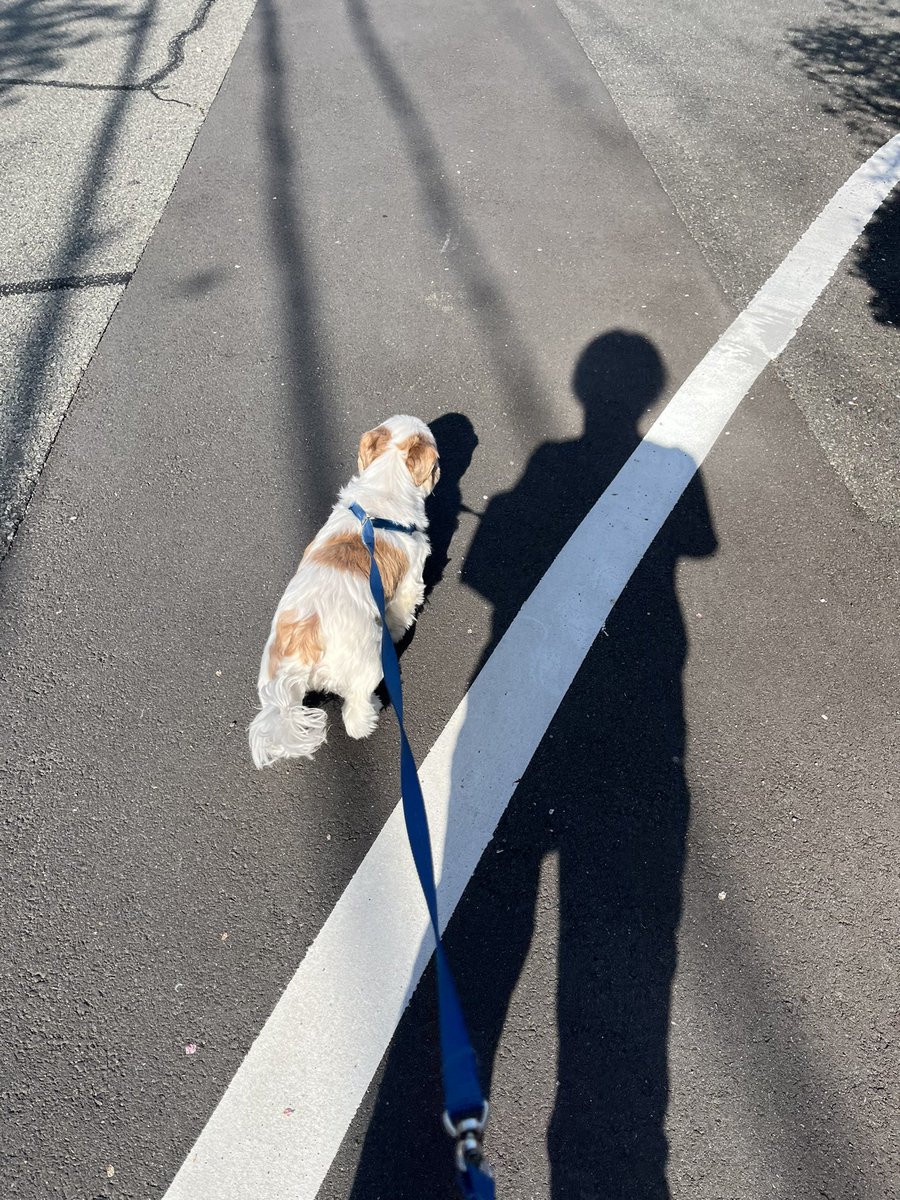 西へ向かう為の準備運動🚶