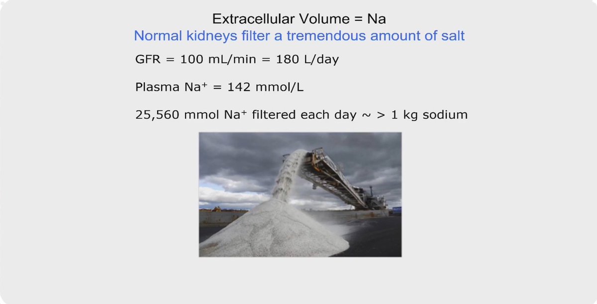 HanCardiomd's tweet photo. Understanding natriuresis is way more important than aquaresis
What are the latest recommendations on Na+ and H2O intake ?
@WilfriedMullens
#MasterClassIC @carlosguizars @HFA_President @EJHFEiC @AmrAbdin10 @slumberbell @ShelleyZieroth https://t.co/9mCH84WQcu