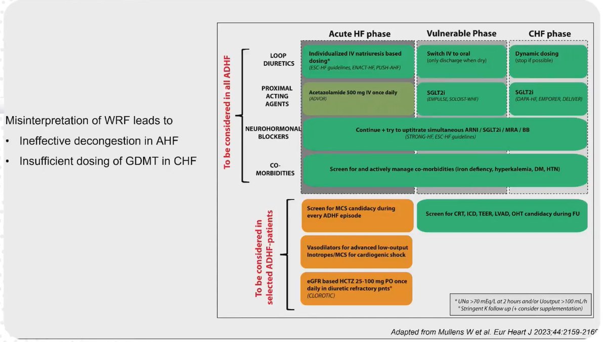 HanCardiomd's tweet photo. @WilfriedMullens @carlosguizars Current recommendations on Diuretic resistance / WRF during Acute HF
@WilfriedMullens
#MasterClassIC @carlosguizars https://t.co/mknZkU37nP