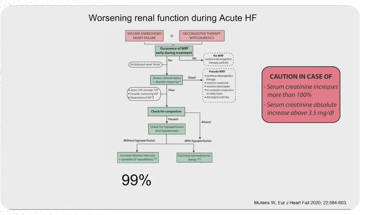 HanCardiomd's tweet photo. @WilfriedMullens @carlosguizars Current recommendations on Diuretic resistance / WRF during Acute HF
@WilfriedMullens
#MasterClassIC @carlosguizars https://t.co/mknZkU37nP